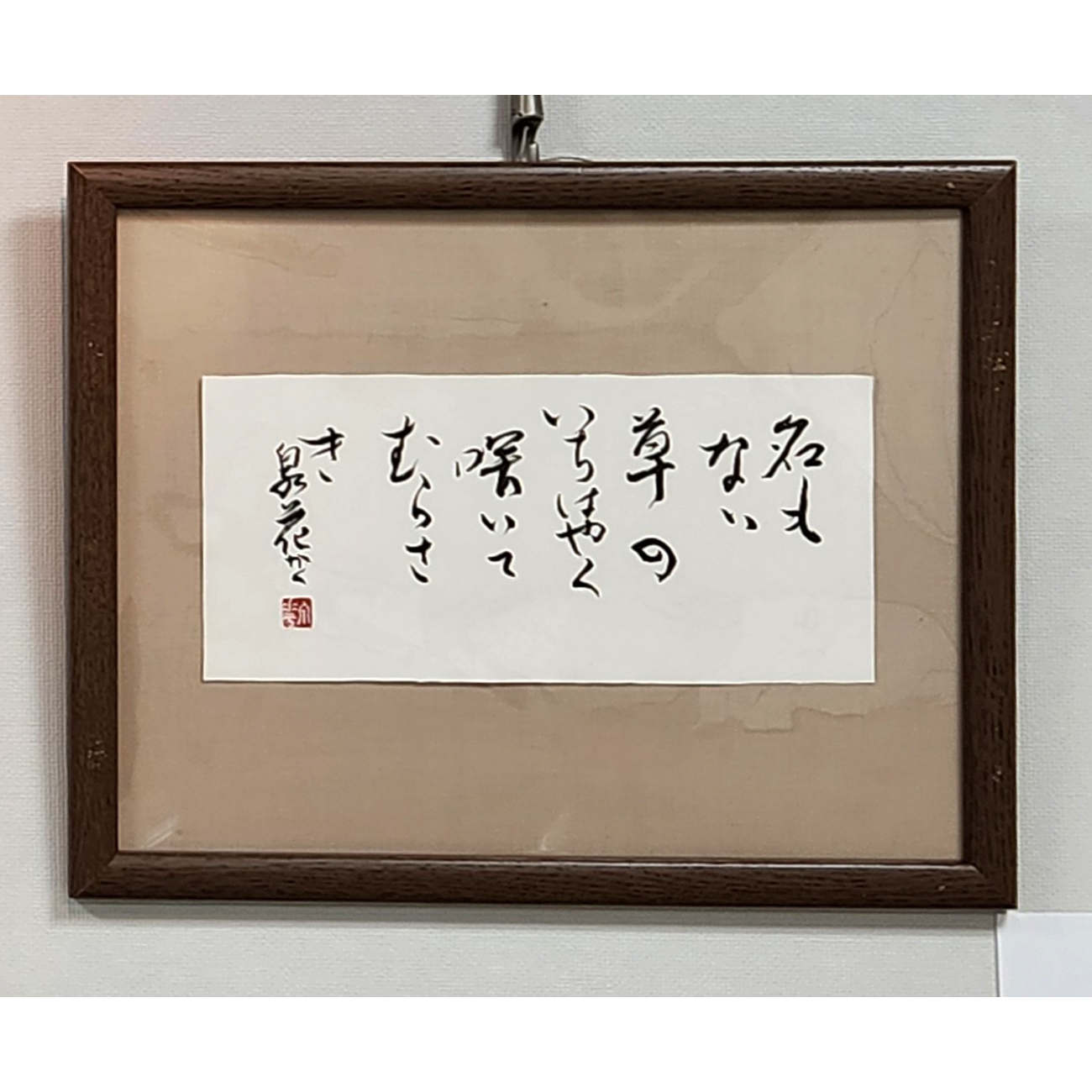 写真：